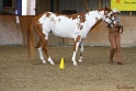 23-APHA SS_047